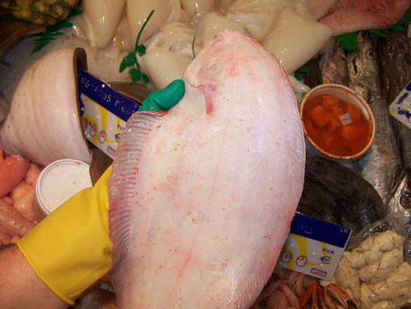 Pescados frescos y exquisitos