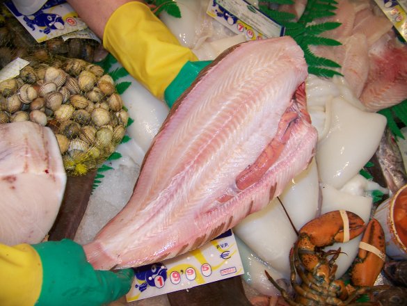 Pescados frescos y exquisitos