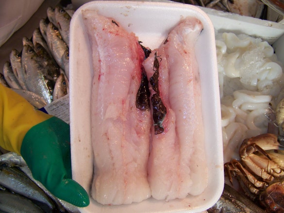 Servicio de limpieza y envasado del pescado