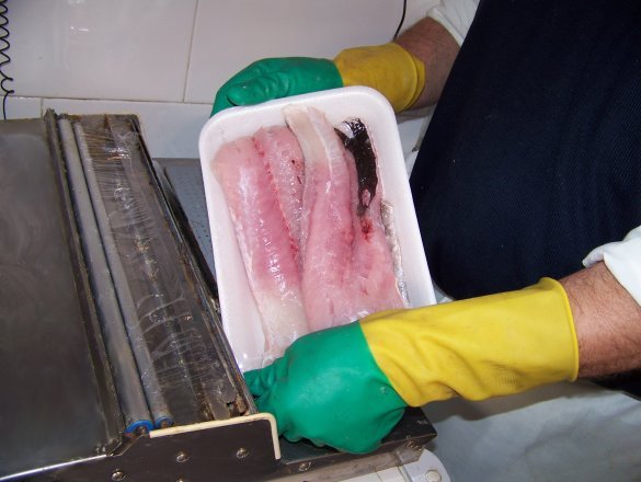 Servicio de limpieza y envasado del pescado