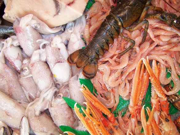 Gran variedad de todo tipo de pescados y mariscos