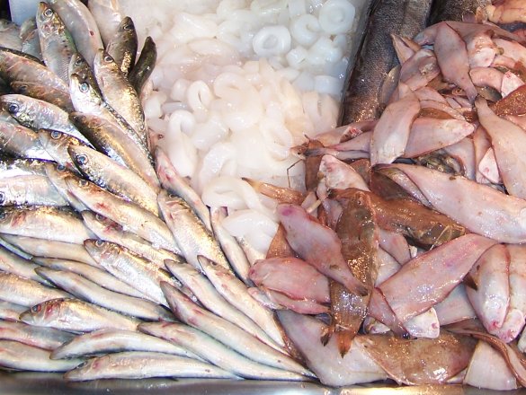 Gran variedad de todo tipo de pescados y mariscos