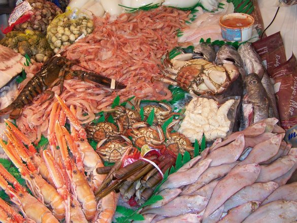 Gran variedad de todo tipo de pescados y mariscos