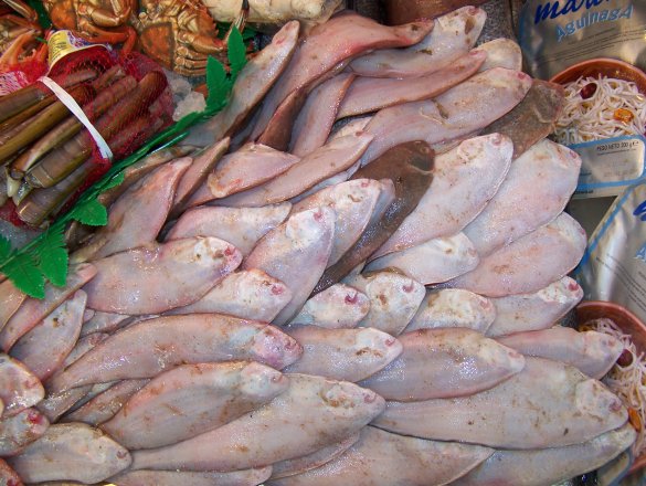 Gran variedad de todo tipo de pescados y mariscos