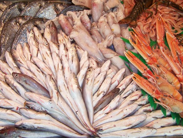 Gran variedad de todo tipo de pescados y mariscos